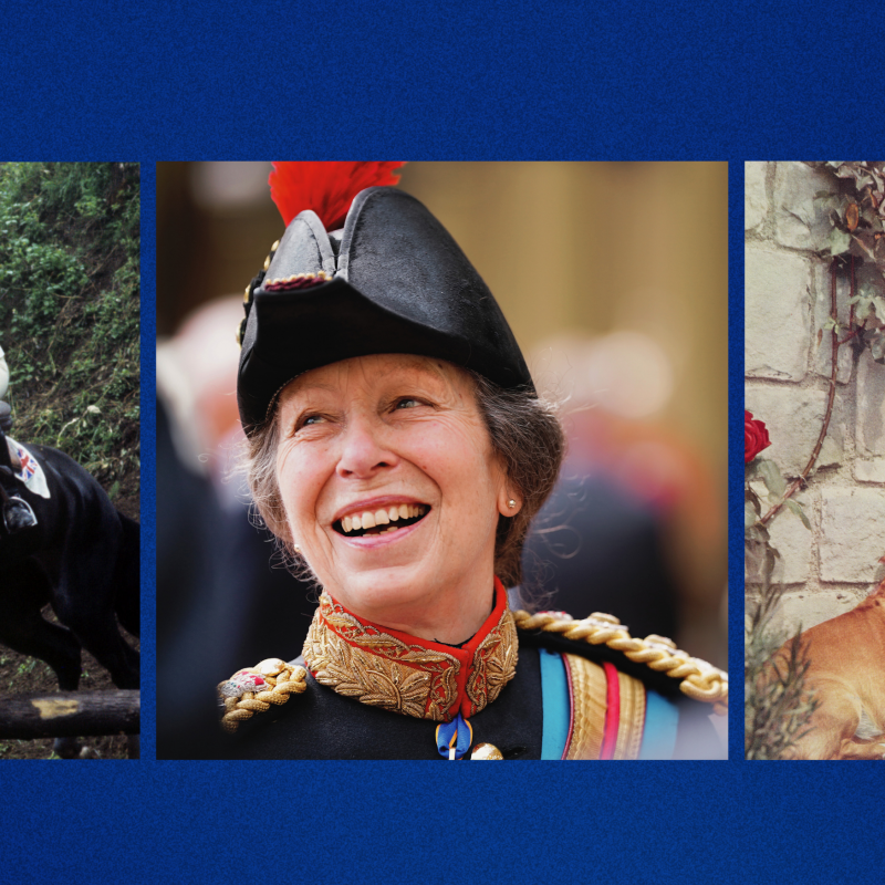 Princess Anne at 75