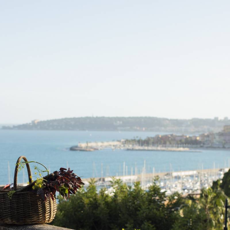 Mauro Colagreco Raffles