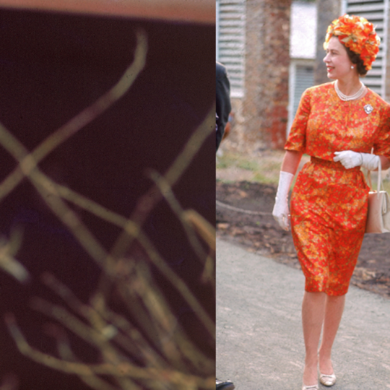 Queen Elizabeth birthday